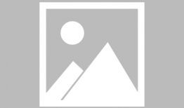 霸道总裁图片漫画,一场漫画中的浪漫冒险